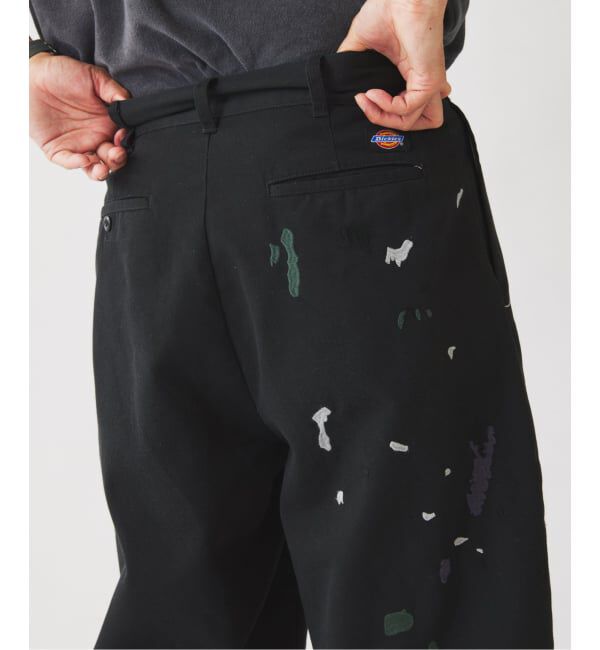 JOURNAL STANDARD relume「《追加予約》Dickies / ディッキーズ 別注 スプラッシュ 刺繍 カーブ ワークパンツ」|チノ|