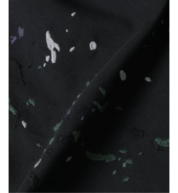 JOURNAL STANDARD relume「《追加予約》Dickies / ディッキーズ 別注 スプラッシュ 刺繍 カーブ ワークパンツ」|チノ|