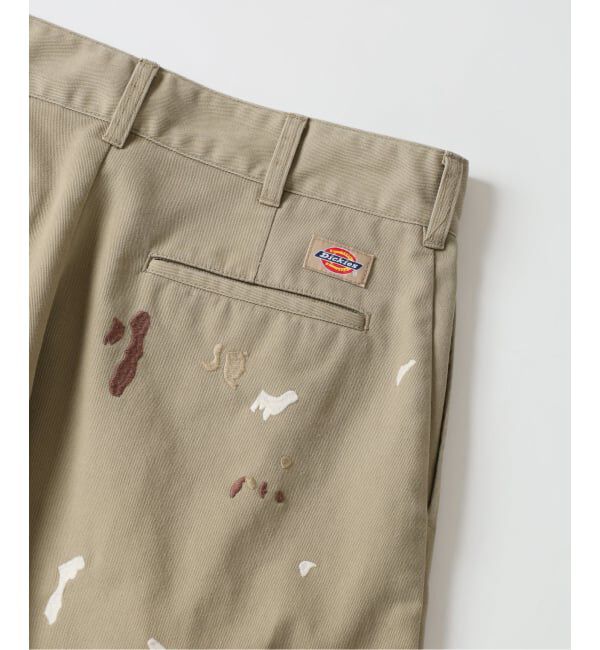 JOURNAL STANDARD relume「《追加予約》Dickies / ディッキーズ 別注 スプラッシュ 刺繍 カーブ ワークパンツ」|チノ|