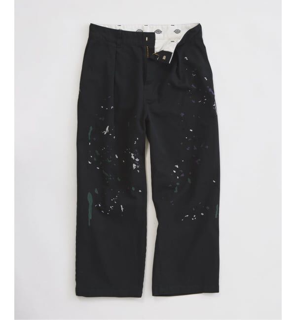 JOURNAL STANDARD relume「《追加予約》Dickies / ディッキーズ 別注 スプラッシュ 刺繍 カーブ ワークパンツ」|チノ|
