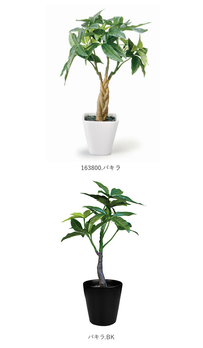 BACKYARD FAMILY「光触媒 フェイクグリーン 通販 壁掛け イミテーショングリーン おしゃれ 壁 インテリアプランツ」|その他|