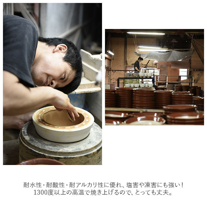 BACKYARD FAMILY「もとしげ おろし器 大 通販 おろしき 大根おろし 器 わさびおろし すりおろし 陶器 薬味おろし」|食器・キッチングッズ|