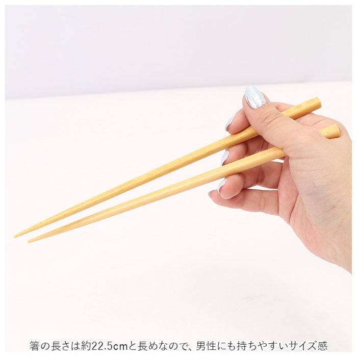 BACKYARD FAMILY「MIYS ミース 箸箱セット 通販 22.5cm 箸入れ 箸ケース スライド はし お箸 マイ箸」|食器・キッチングッズ|