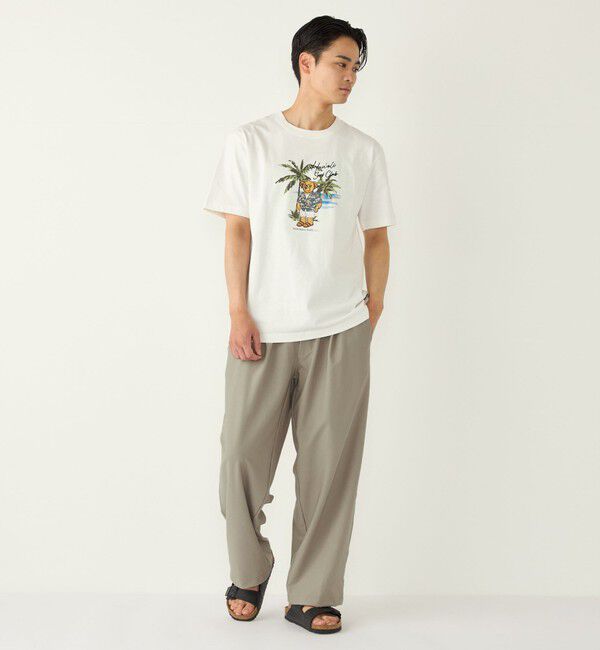 SHIPS Colors 「SHIPS Colors:TeddyBear(R) コラボ Tシャツ◇」|Tシャツ・カットソー|