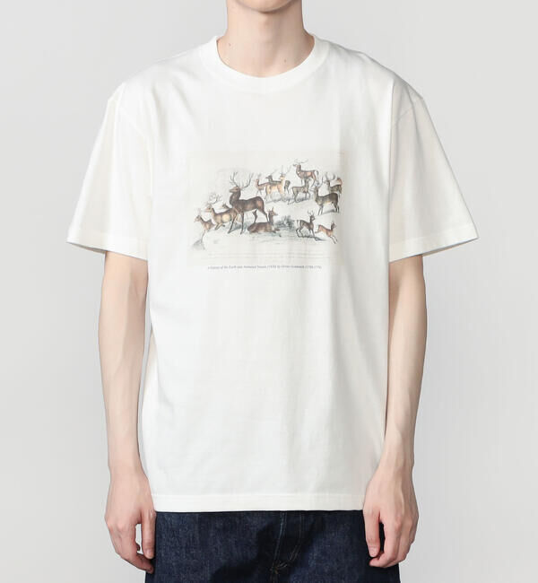  「History of Art | プリントTシャツ DEER MEN」|Tシャツ・カットソー|