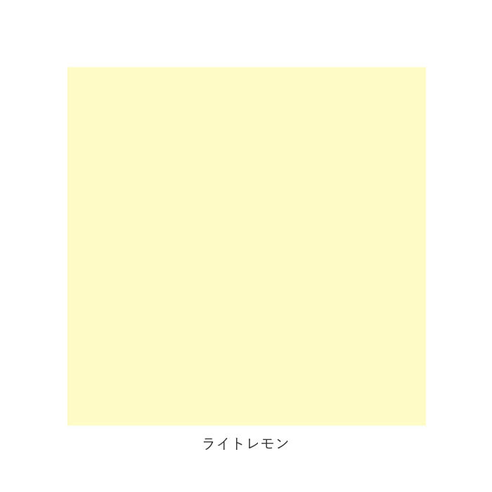 BACKYARD FAMILY「クリーニングクロス 通販 メガネ拭きクロス 眼鏡拭き クロス 無地 シンプル 30cm&times;30cm」|その他|