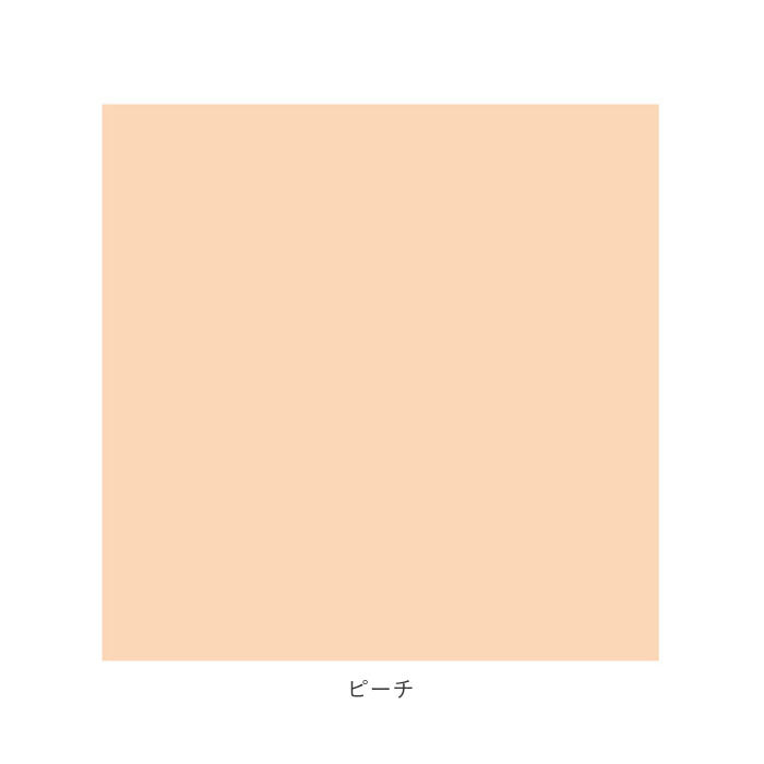 BACKYARD FAMILY「クリーニングクロス 通販 メガネ拭きクロス 眼鏡拭き クロス 無地 シンプル 30cm&times;30cm」|その他|
