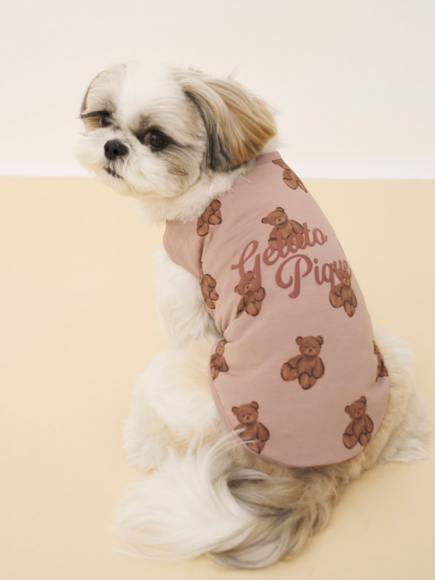  GELATO PIQUE CAT&DOG「【CAT&DOG】ベア柄カットソープルオーバー」|その他|BRW