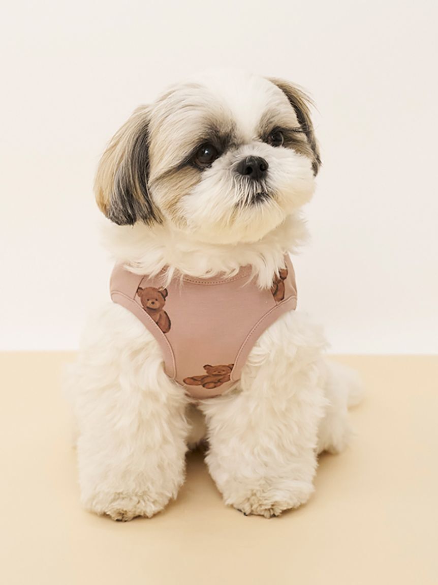  GELATO PIQUE CAT&DOG「【CAT&DOG】ベア柄カットソープルオーバー」|その他|