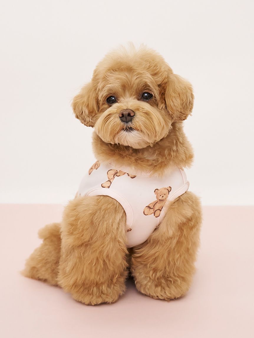  GELATO PIQUE CAT&DOG「【CAT&DOG】ベア柄カットソープルオーバー」|その他|