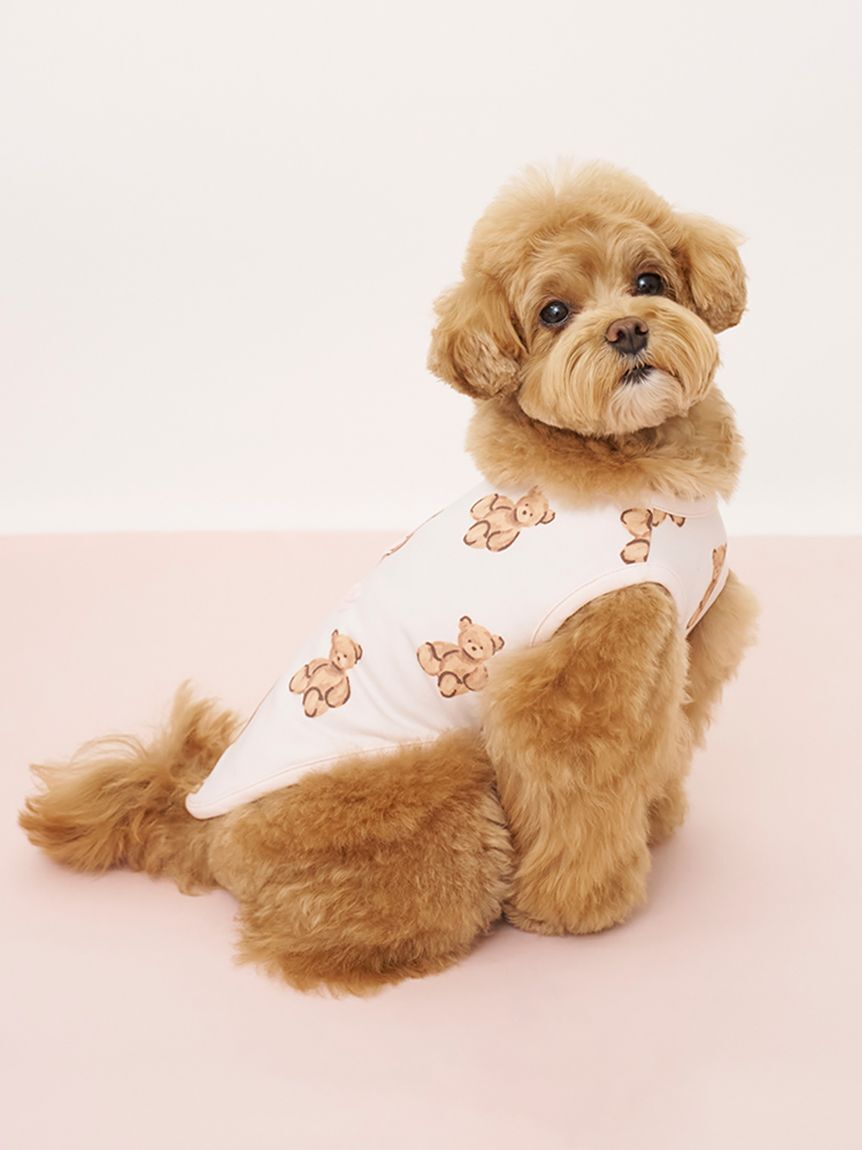  GELATO PIQUE CAT&DOG「【CAT&DOG】ベア柄カットソープルオーバー」|その他|
