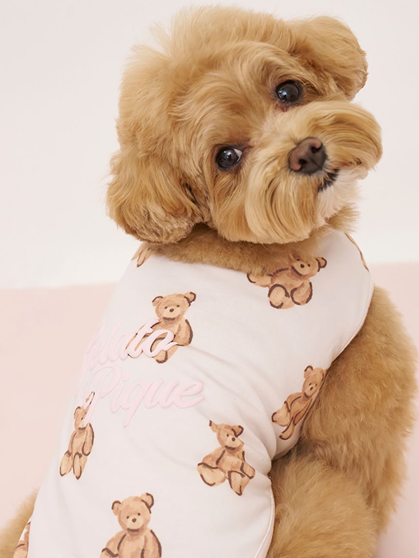  GELATO PIQUE CAT&DOG「【CAT&DOG】ベア柄カットソープルオーバー」|その他|PNK