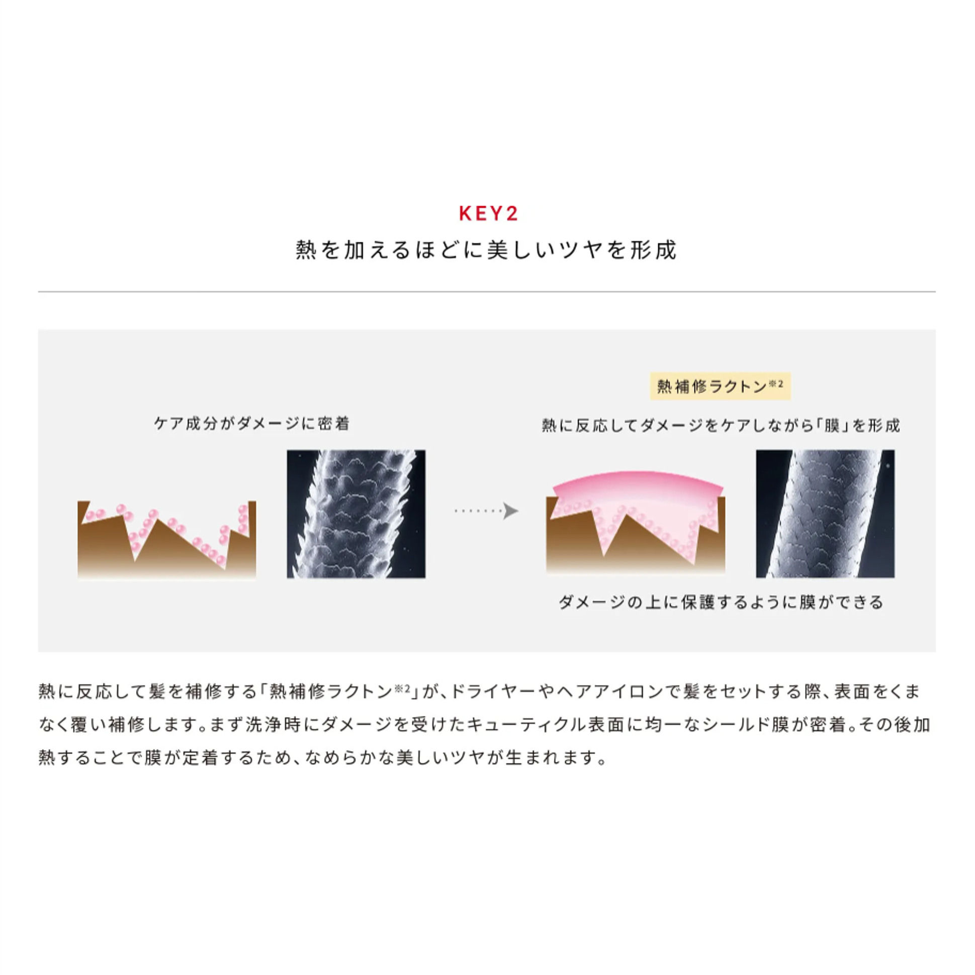 ReFa「リファビューテックシャンプー500ml」|シャンプー|