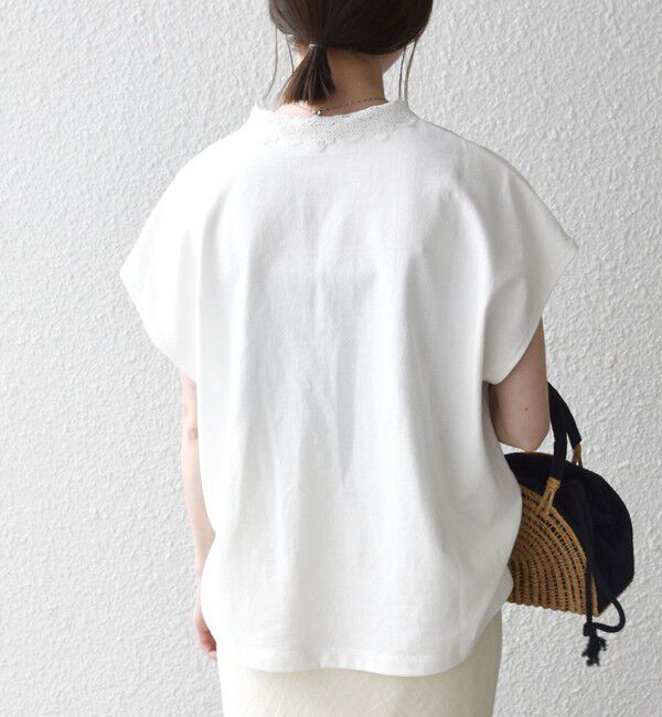SHIPS any「SHIPS any:〈洗濯機可能〉レース カラー フレンチスリーブ ポロ プルオーバー」|Tシャツ・カットソー|