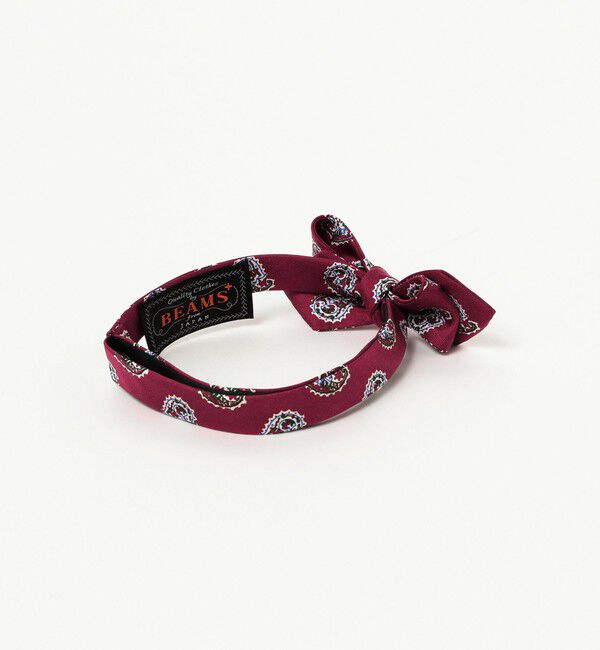 BEAMS PLUS「BEAMS PLUS / Silk Bow Tie Big Paisley Print」|ネクタイ・蝶ネクタイ|
