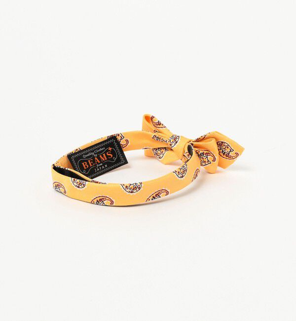 BEAMS PLUS「BEAMS PLUS / Silk Bow Tie Big Paisley Print」|ネクタイ・蝶ネクタイ|