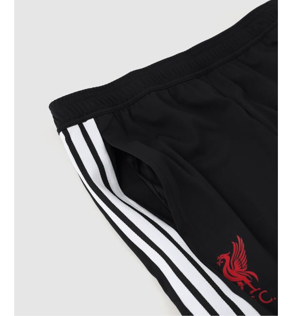 Liverpool FC「【adidas / アディダス】 FBLI リバプールFC トレーニング PT」|その他|