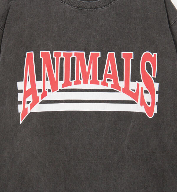  「STUDIO WEAREALLANIMALS | Curved Arch Logo 半袖Tシャツ WOMEN」|Tシャツ・カットソー|