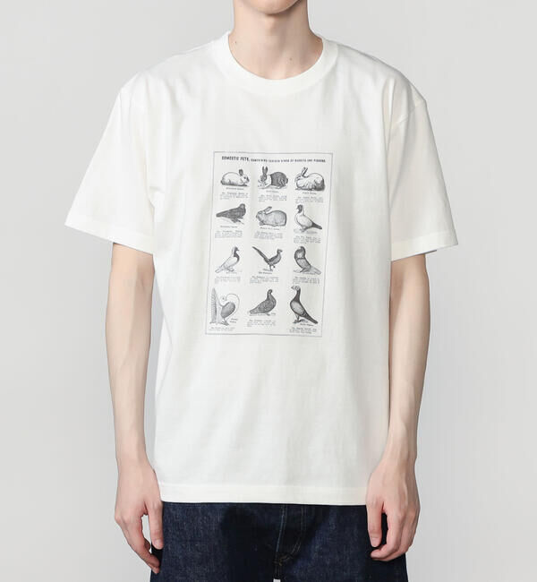  「History of Art | プリントTシャツ RABBITS & BIRDS MEN」|Tシャツ・カットソー|