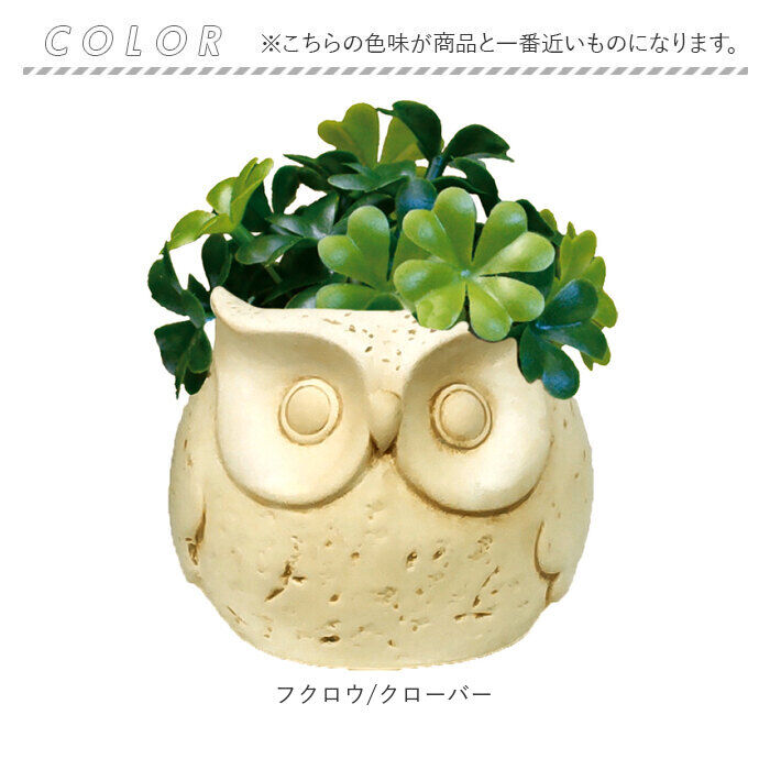 BACKYARD FAMILY「光触媒 フェイクグリーン 通販 卓上 イミテーショングリーン おしゃれ 陶器 インテリアプランツ」|その他|
