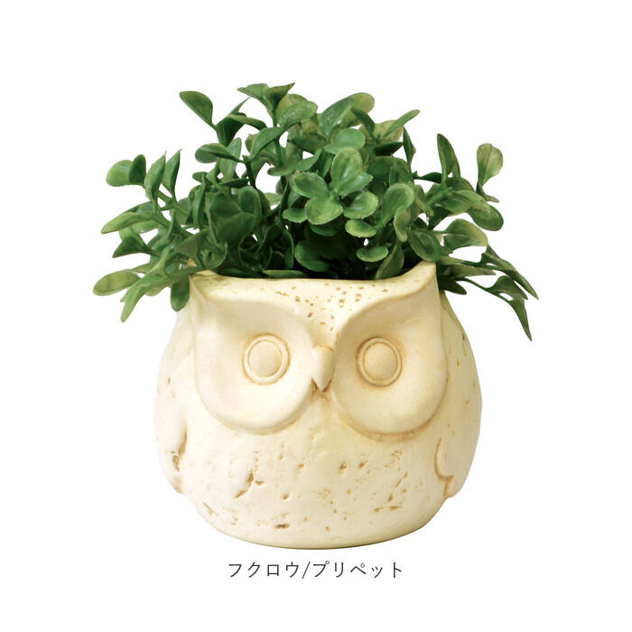 BACKYARD FAMILY「光触媒 フェイクグリーン 通販 卓上 イミテーショングリーン おしゃれ 陶器 インテリアプランツ」|その他|