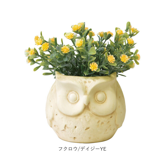BACKYARD FAMILY「光触媒 フェイクグリーン 通販 卓上 イミテーショングリーン おしゃれ 陶器 インテリアプランツ」|その他|