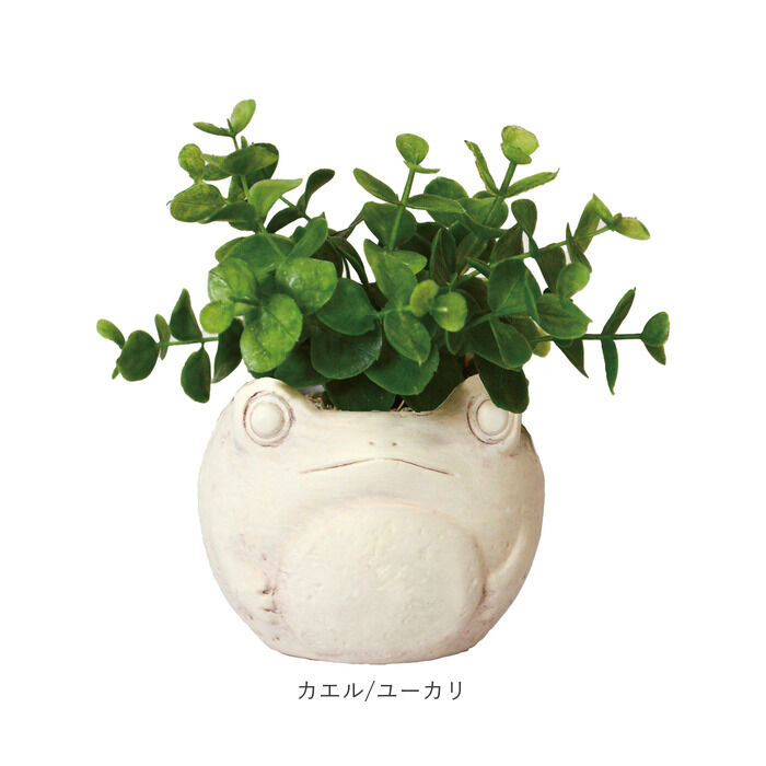 BACKYARD FAMILY「光触媒 フェイクグリーン 通販 卓上 イミテーショングリーン おしゃれ 陶器 インテリアプランツ」|その他|