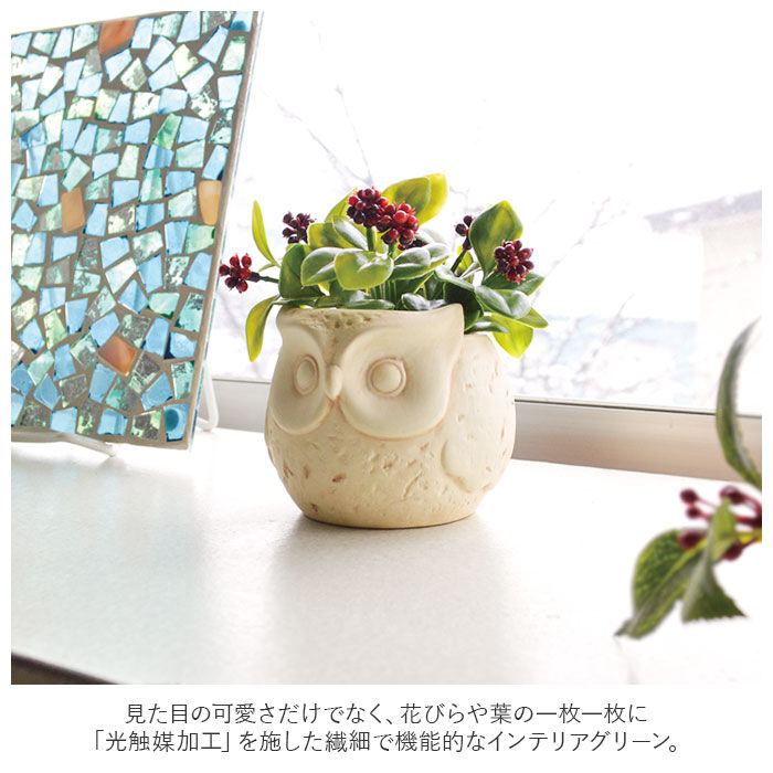 BACKYARD FAMILY「光触媒 フェイクグリーン 通販 卓上 イミテーショングリーン おしゃれ 陶器 インテリアプランツ」|その他|