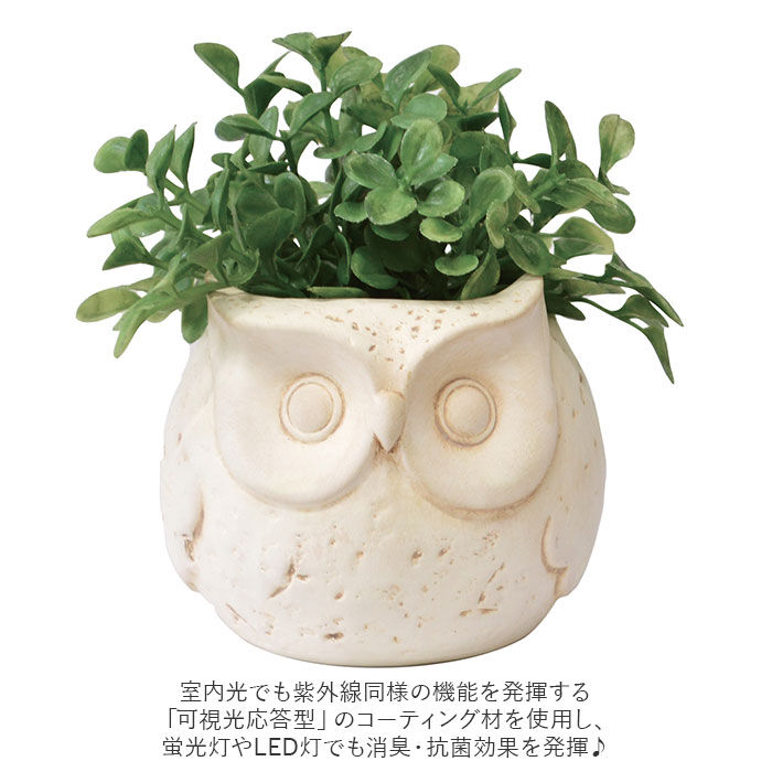 BACKYARD FAMILY「光触媒 フェイクグリーン 通販 卓上 イミテーショングリーン おしゃれ 陶器 インテリアプランツ」|その他|