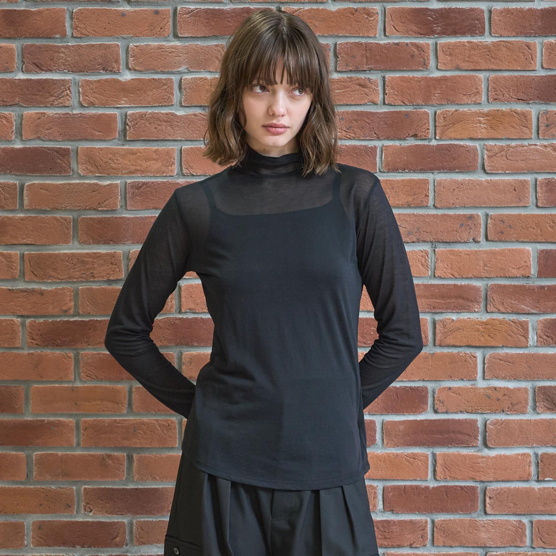 DRESSTERIOR「シアータートル」|Tシャツ・カットソー|