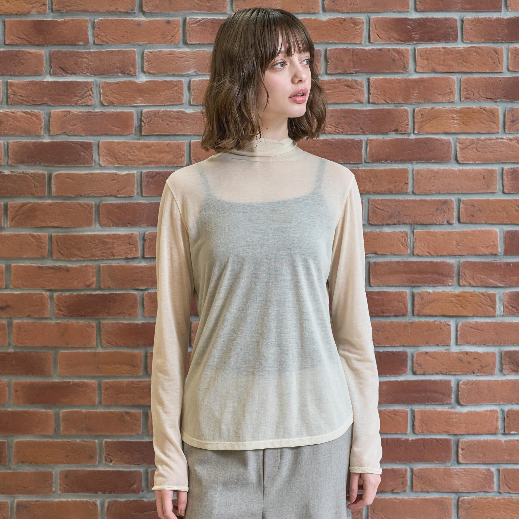 DRESSTERIOR「シアータートル」|Tシャツ・カットソー|