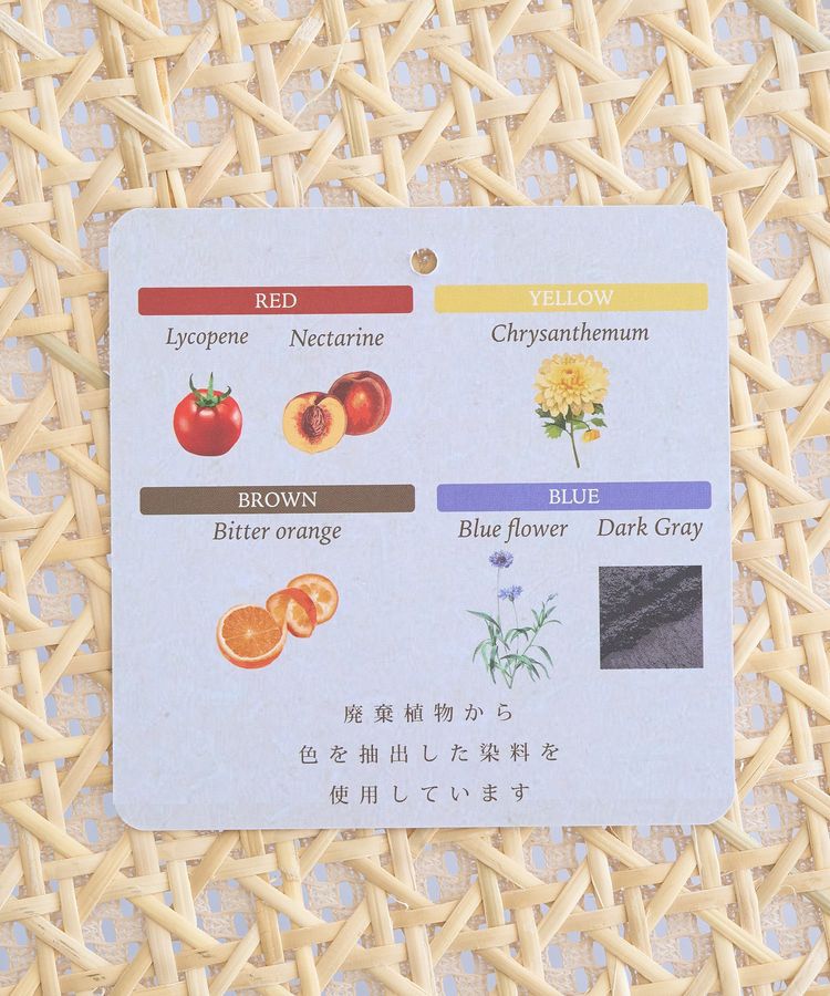 earth music&ecology「SET2点エプロンライクビスチェ＋シャツ」|シャツ・ブラウス|