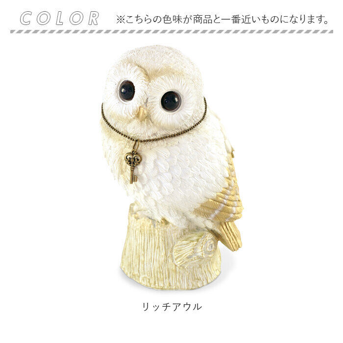 BACKYARD FAMILY「アニマル 貯金箱 通販 アニマル貯金箱 コイン オブジェ 置物 室内用 室内 動物 ホワイト 白」|その他|
