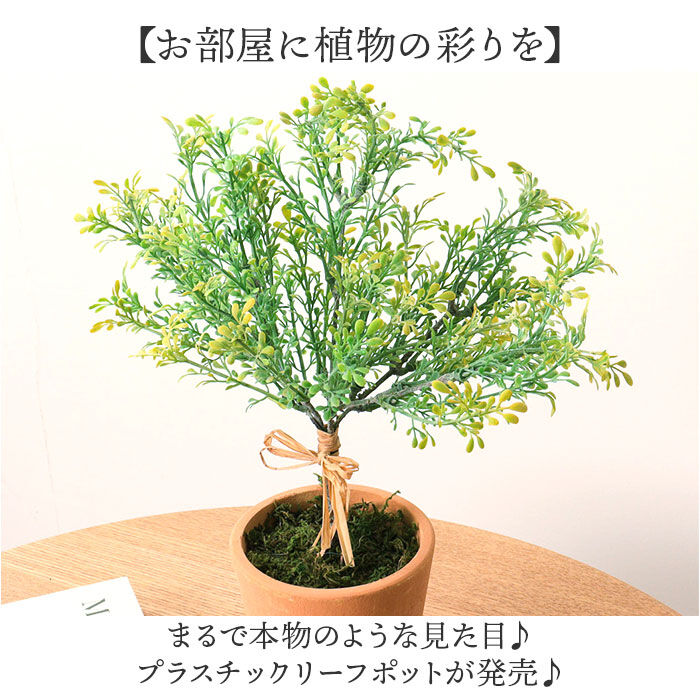 BACKYARD FAMILY「観葉植物 フェイク 大型 通販 フェイクグリーン アーティフィシャルグリーン インテリアグリーン」|その他|