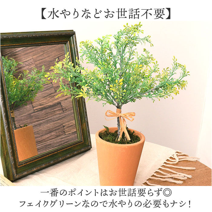 BACKYARD FAMILY「観葉植物 フェイク 大型 通販 フェイクグリーン アーティフィシャルグリーン インテリアグリーン」|その他|