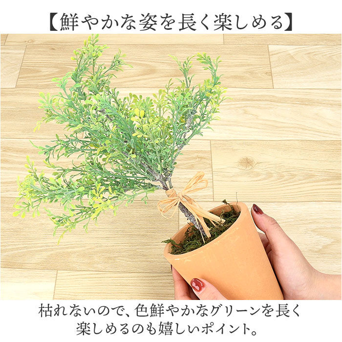 BACKYARD FAMILY「観葉植物 フェイク 大型 通販 フェイクグリーン アーティフィシャルグリーン インテリアグリーン」|その他|