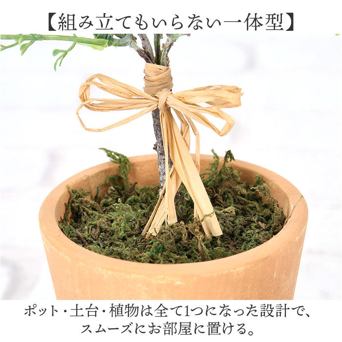 BACKYARD FAMILY「観葉植物 フェイク 大型 通販 フェイクグリーン アーティフィシャルグリーン インテリアグリーン」|その他|
