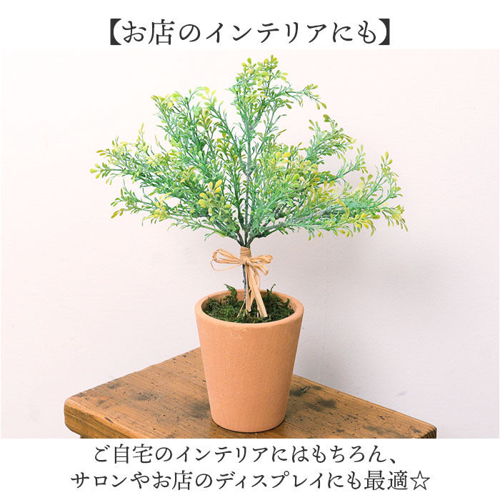 BACKYARD FAMILY「観葉植物 フェイク 大型 通販 フェイクグリーン アーティフィシャルグリーン インテリアグリーン」|その他|
