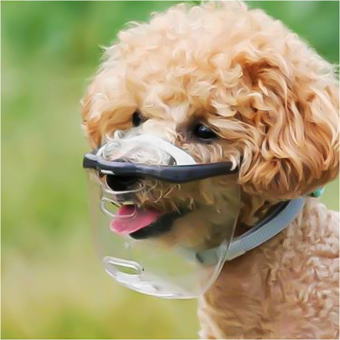 BACKYARD FAMILY「MouthFit マウスフィット 犬用マズル 通販 口輪 犬 犬のマズル 犬用口輪 犬用マスク」|その他|