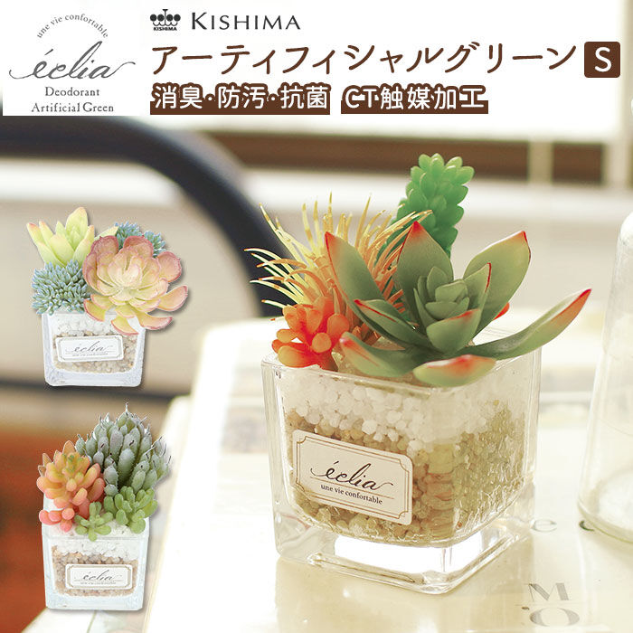 BACKYARD FAMILY「多肉植物 観葉植物 フェイク s 通販 おしゃれ 小さい CT触媒 消臭アーティフィシャルグリーン」|その他|
