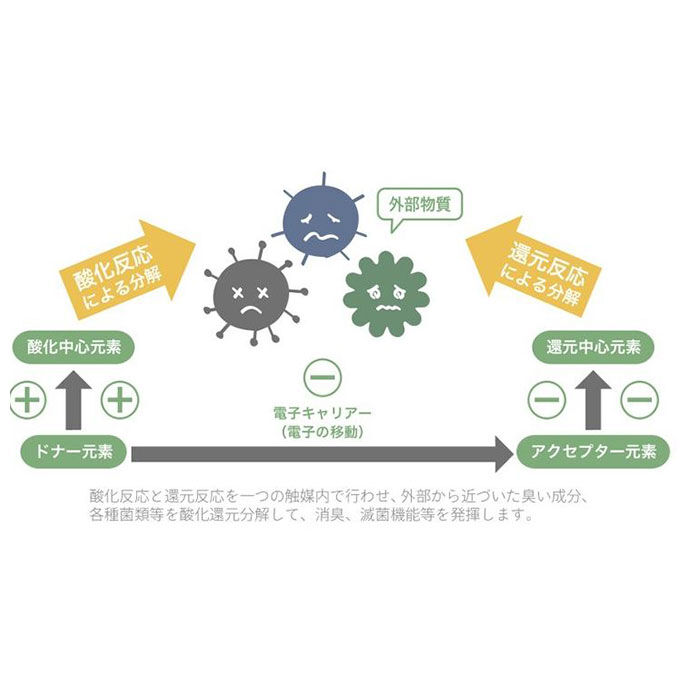 BACKYARD FAMILY「多肉植物 観葉植物 フェイク s 通販 おしゃれ 小さい CT触媒 消臭アーティフィシャルグリーン」|その他|