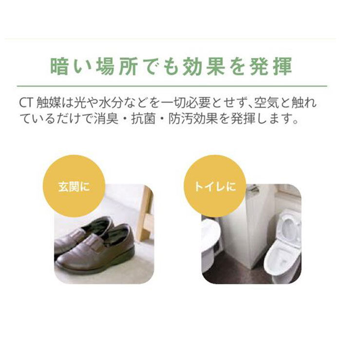 BACKYARD FAMILY「多肉植物 観葉植物 フェイク s 通販 おしゃれ 小さい CT触媒 消臭アーティフィシャルグリーン」|その他|