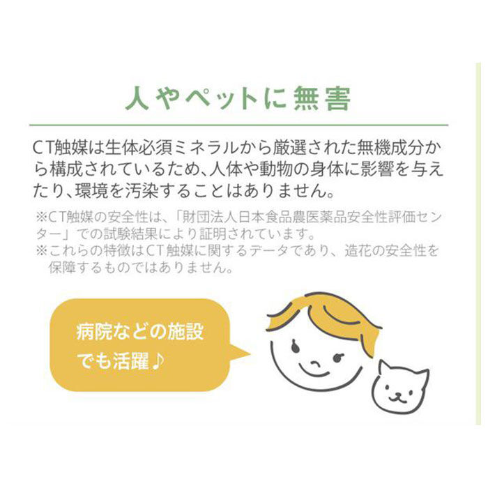 BACKYARD FAMILY「多肉植物 観葉植物 フェイク s 通販 おしゃれ 小さい CT触媒 消臭アーティフィシャルグリーン」|その他|