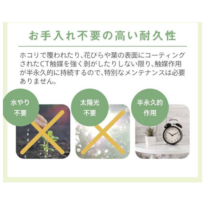 BACKYARD FAMILY「多肉植物 観葉植物 フェイク s 通販 おしゃれ 小さい CT触媒 消臭アーティフィシャルグリーン」|その他|