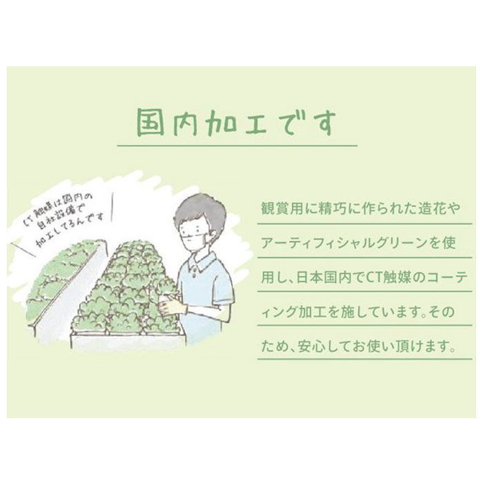 BACKYARD FAMILY「多肉植物 観葉植物 フェイク s 通販 おしゃれ 小さい CT触媒 消臭アーティフィシャルグリーン」|その他|