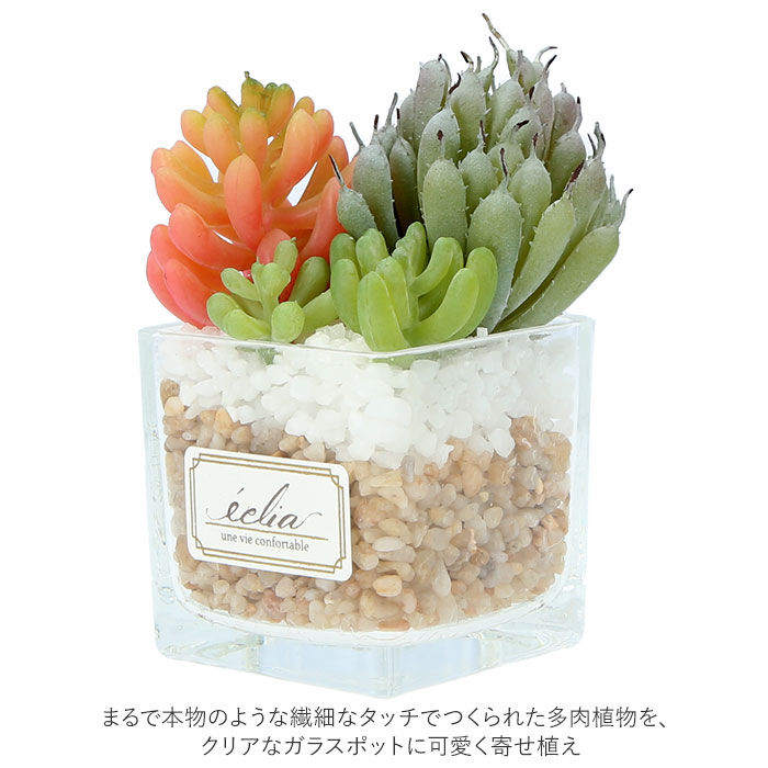BACKYARD FAMILY「多肉植物 観葉植物 フェイク s 通販 おしゃれ 小さい CT触媒 消臭アーティフィシャルグリーン」|その他|