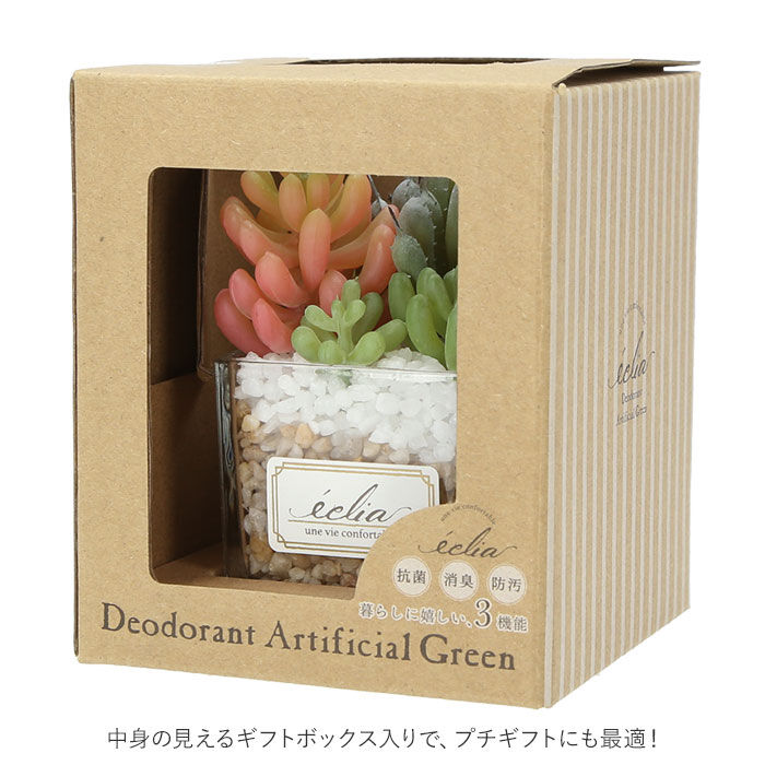 BACKYARD FAMILY「多肉植物 観葉植物 フェイク s 通販 おしゃれ 小さい CT触媒 消臭アーティフィシャルグリーン」|その他|
