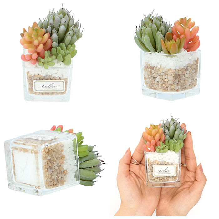 BACKYARD FAMILY「多肉植物 観葉植物 フェイク s 通販 おしゃれ 小さい CT触媒 消臭アーティフィシャルグリーン」|その他|