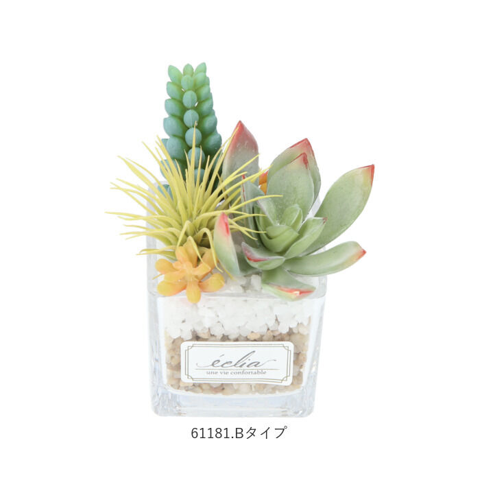 BACKYARD FAMILY「多肉植物 観葉植物 フェイク s 通販 おしゃれ 小さい CT触媒 消臭アーティフィシャルグリーン」|その他|