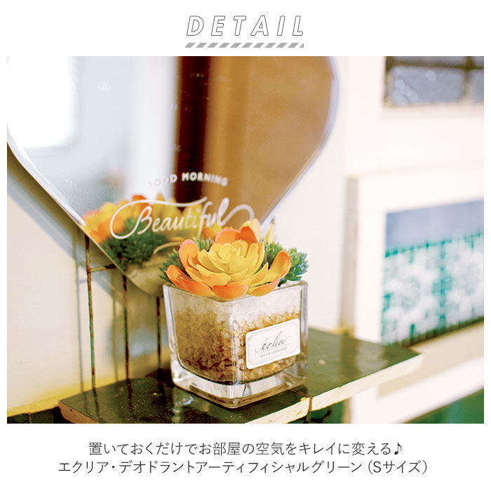 BACKYARD FAMILY「多肉植物 観葉植物 フェイク s 通販 おしゃれ 小さい CT触媒 消臭アーティフィシャルグリーン」|その他|